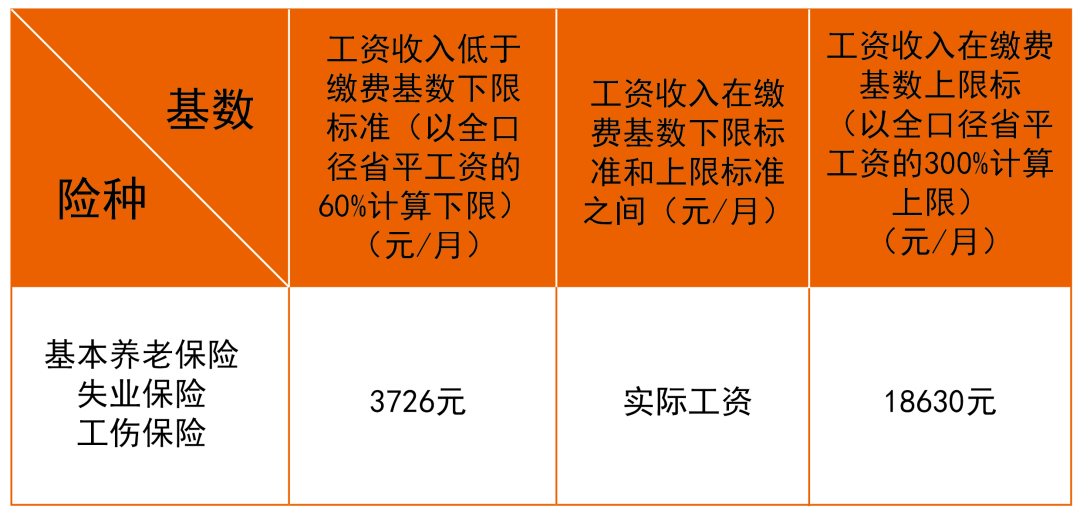 社保最新基数详解,一步指南带你了解操作流程与步骤