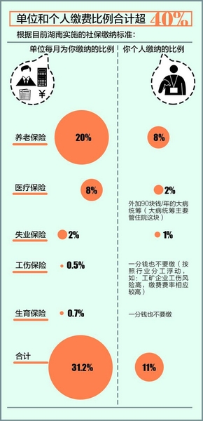 社保最新基数详解,一步指南带你了解操作流程与步骤