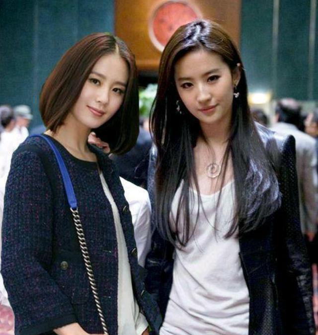 刘亦菲最新日常，友谊与爱意的温馨篇章