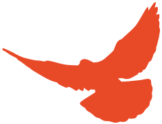 上海禾辉信息 第412页