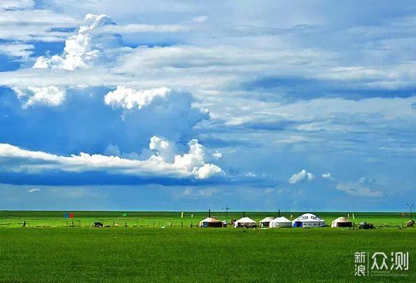 最新牛羊价格揭秘,草原之旅的心灵之旅