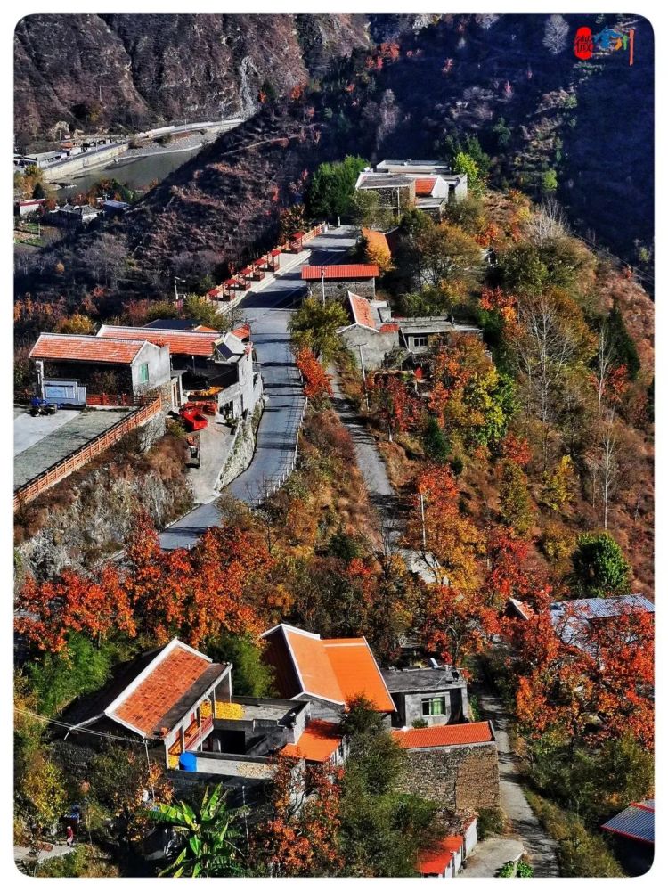 最新金川的温馨日常报道