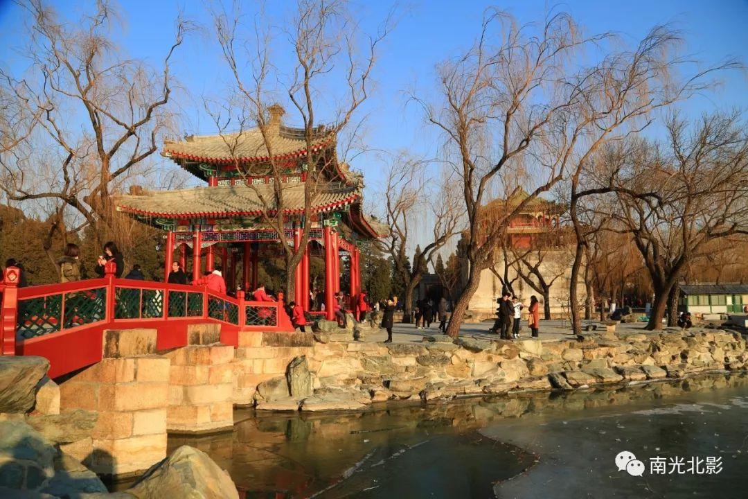 最新猫和老鼠,永不停歇的追逐乐趣