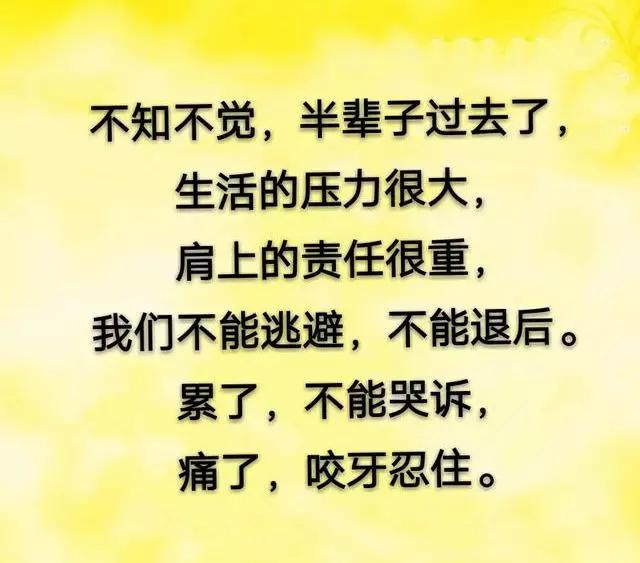 最新猫和老鼠,永不停歇的追逐乐趣