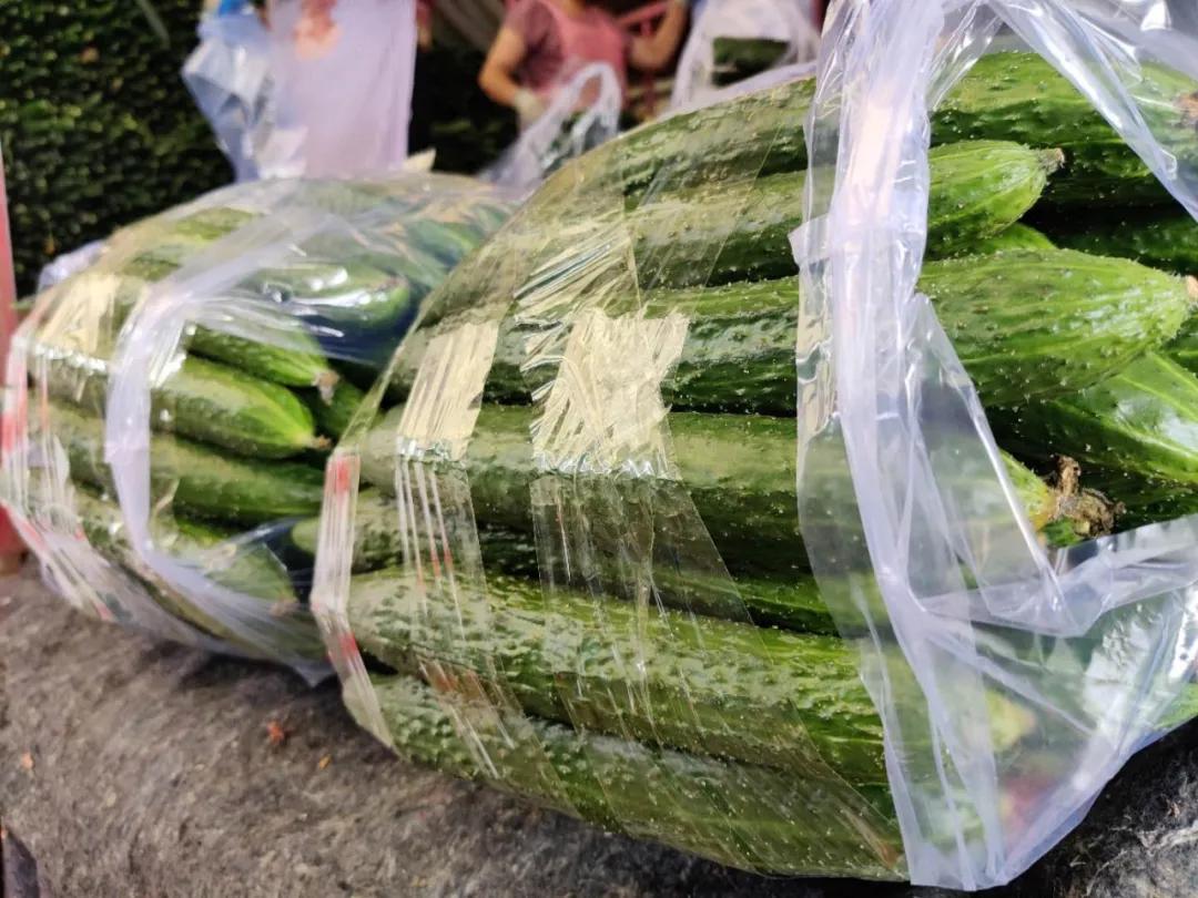 黄瓜最新价格概览，市场走势与选购指南