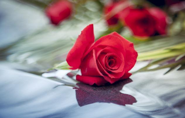 最新早安语，小巷中的神秘宝藏探寻之旅