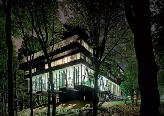 森林最新版探索,小巷中的隐秘瑰宝