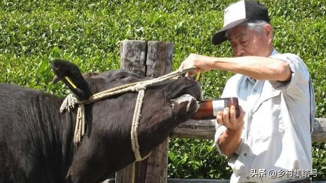 时代背景下的独特魅力探索，最新作文精选