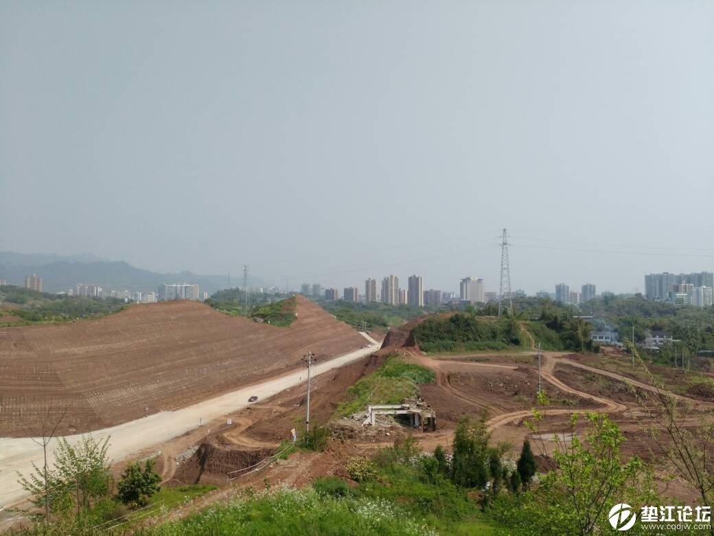 垫江最新动态更新，最新消息汇集