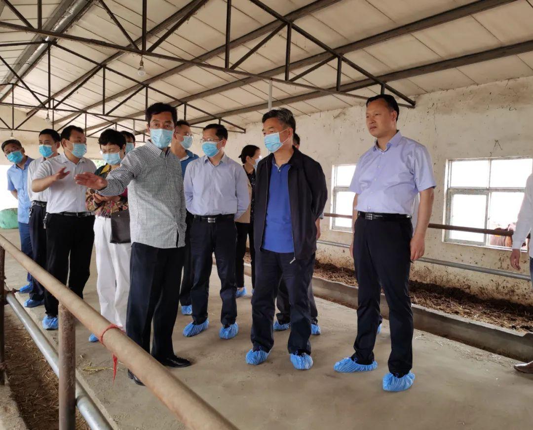 郏县高科技产品引领未来,科技魅力改变生活体验新篇章