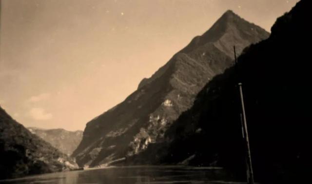 LOL最新英雄奇妙大自然共舞之旅