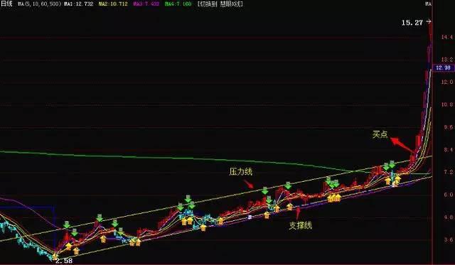 最新熊猫报价及市场走势下的多元观点探讨