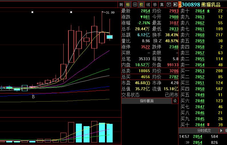 最新熊猫报价及市场走势下的多元观点探讨