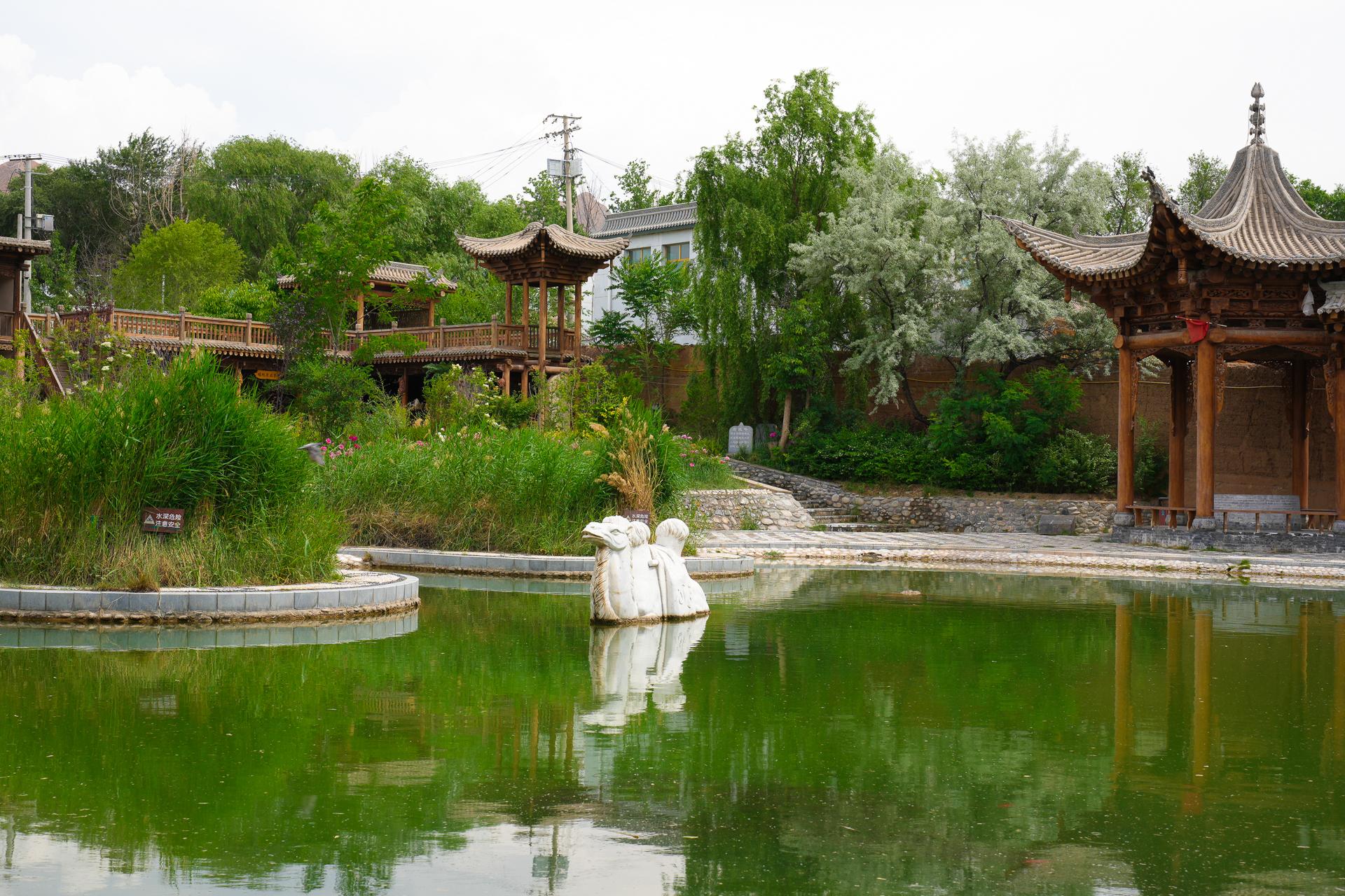 时代背景下的璀璨明珠,外国最新小说综述