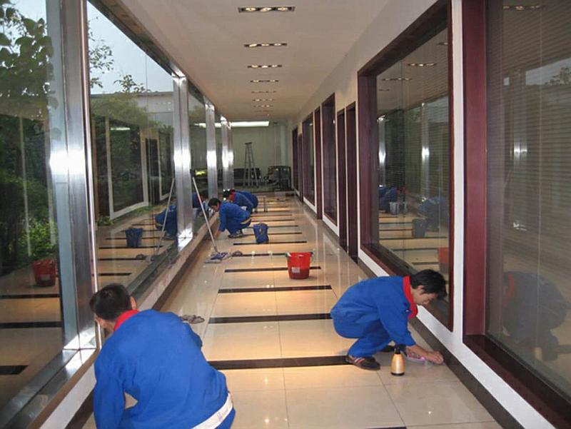 新都最新保洁,💫新都最新保洁大揭秘!让你的家园焕然一新✨