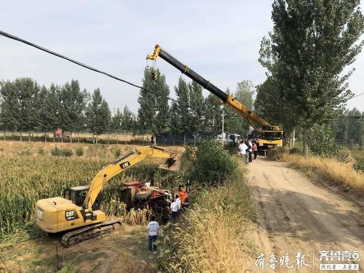 济宁玉米最新价格全面指南,最新行情与深度解析