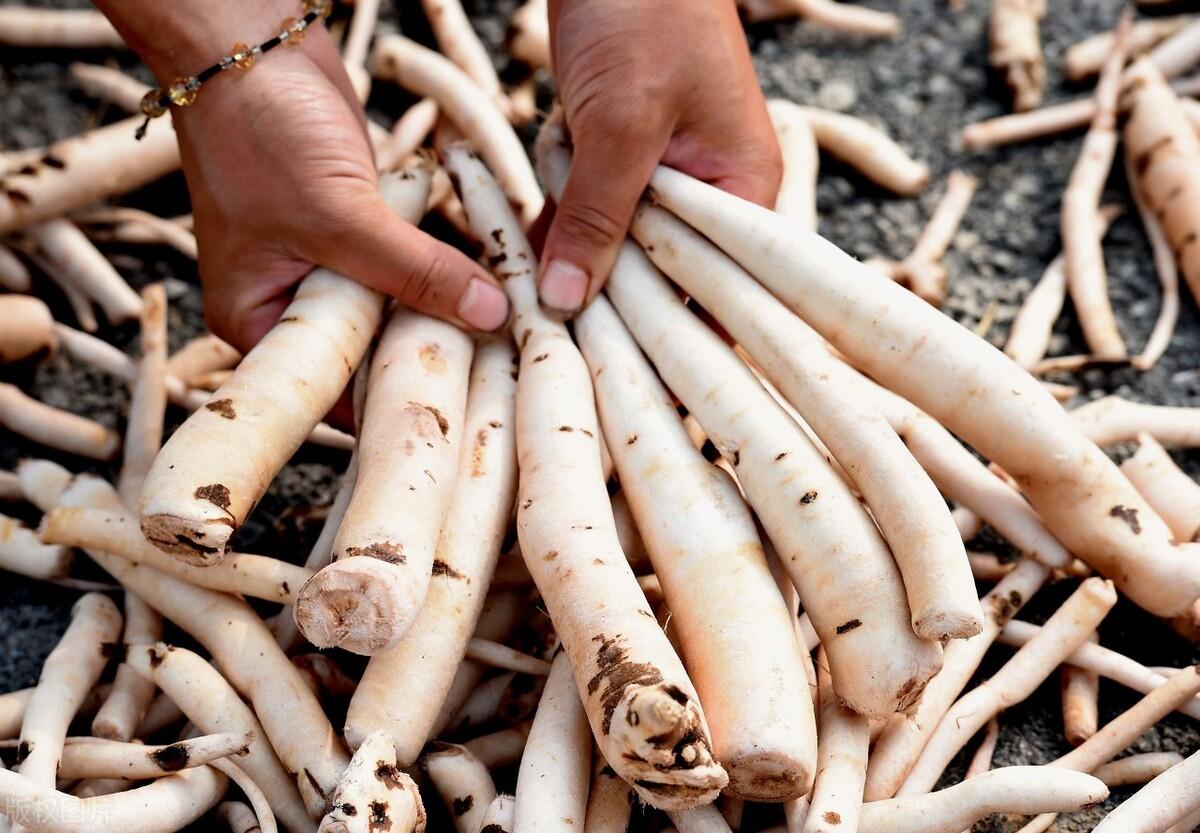 上海禾辉信息 第378页