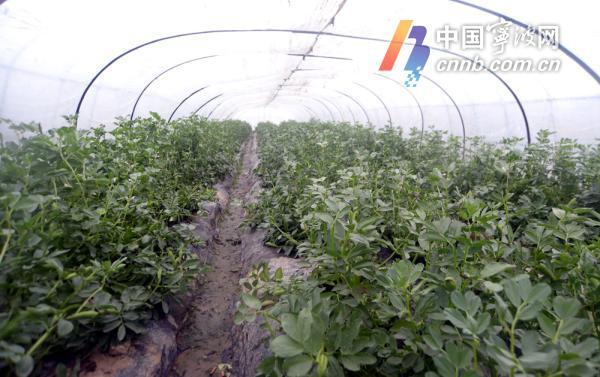 长河最新招聘,引领行业潮流,把握时代脉搏的人才招募行动