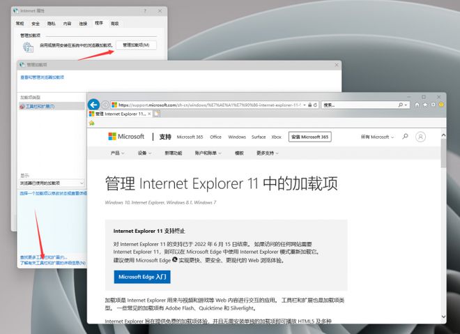 最新现场IE管理，探索自然美景的旅程