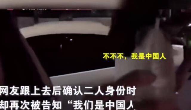 韩国禁片争议与道德法律共守网络绿色心灵