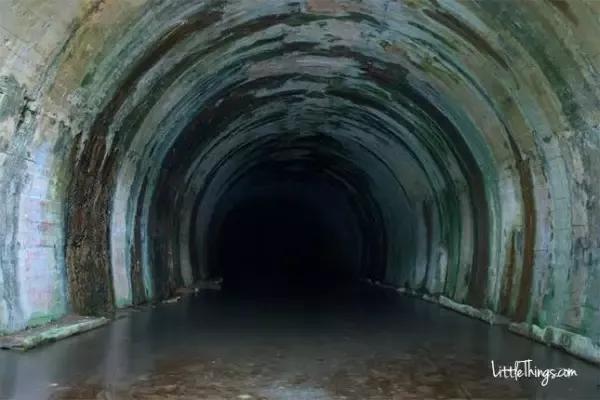 最新倒插讲口,最新倒插讲口,小巷深处的独特风味