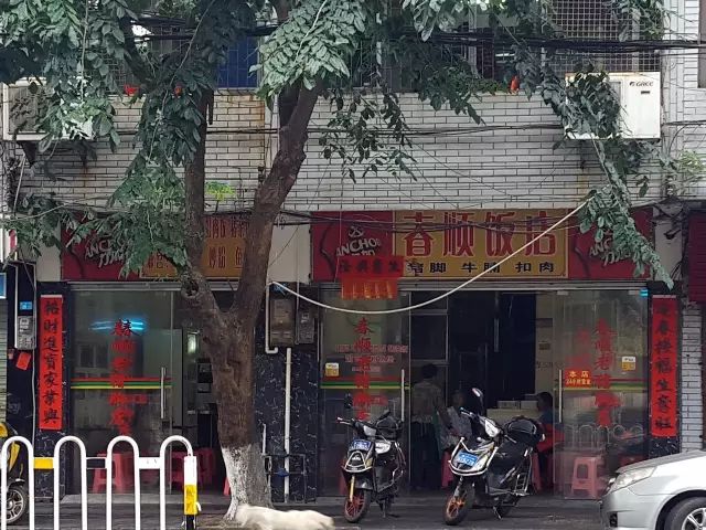 最新藏菌陈，小巷独特风味的美食体验