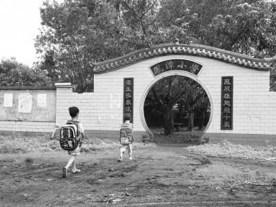 临高最新新闻揭秘，小巷深处的独特美味