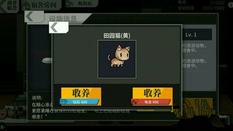 少女前线最新公式深度解析,游戏更新内容一览