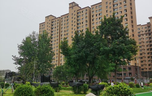 唐县最新楼盘的温馨生活日常