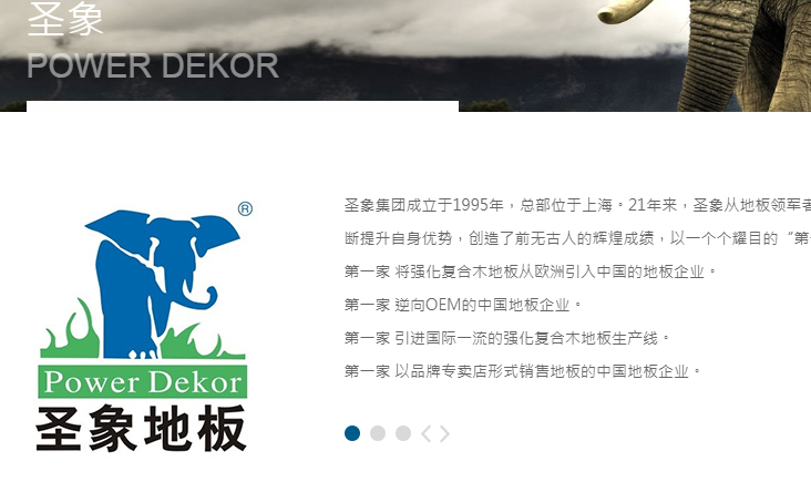 大亚圣象最新公告,大亚圣象最新公告详述——铸就辉煌,展望未来