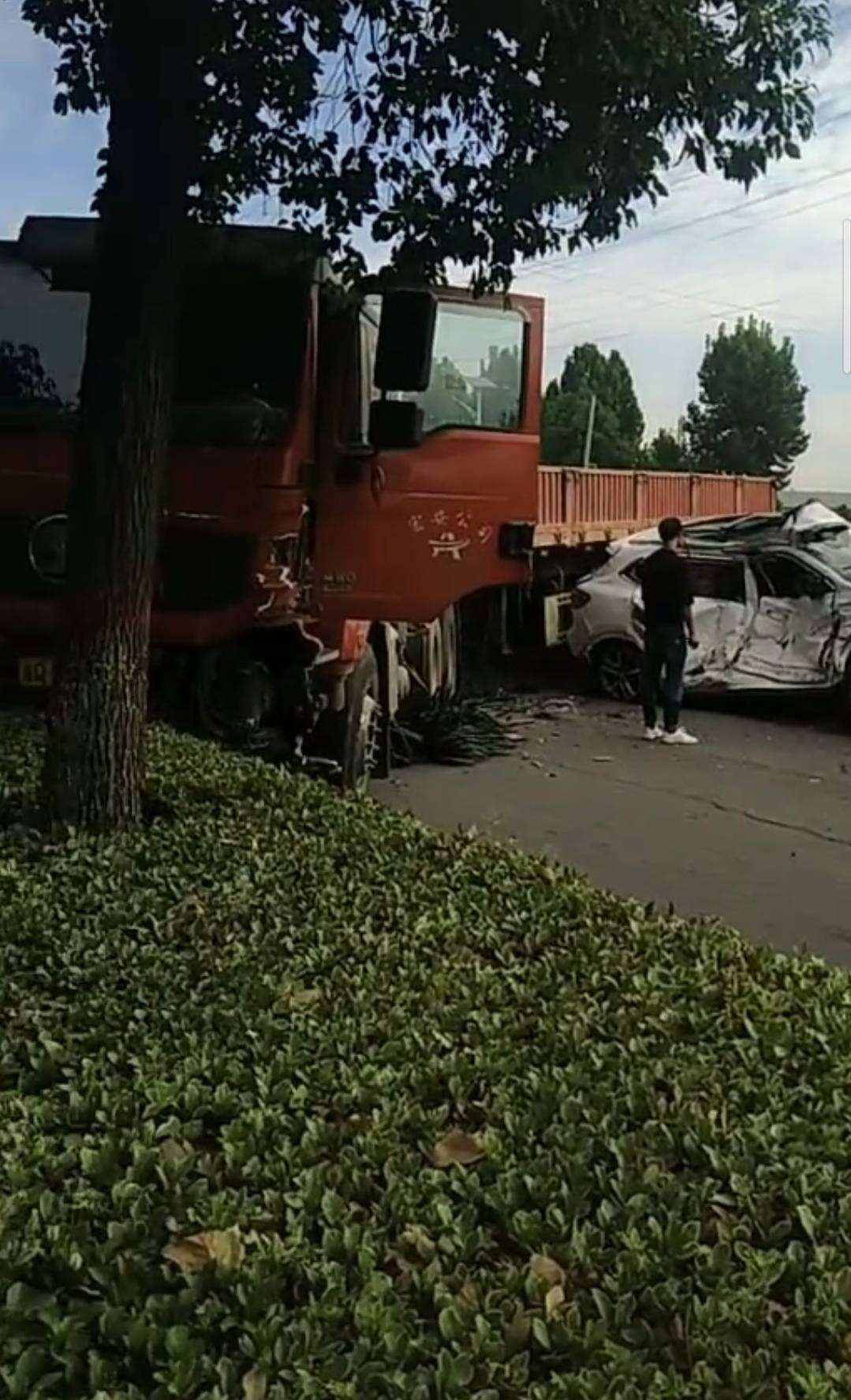 驻马店车祸背后的故事,小巷美食秘境与意外瞬间曝光