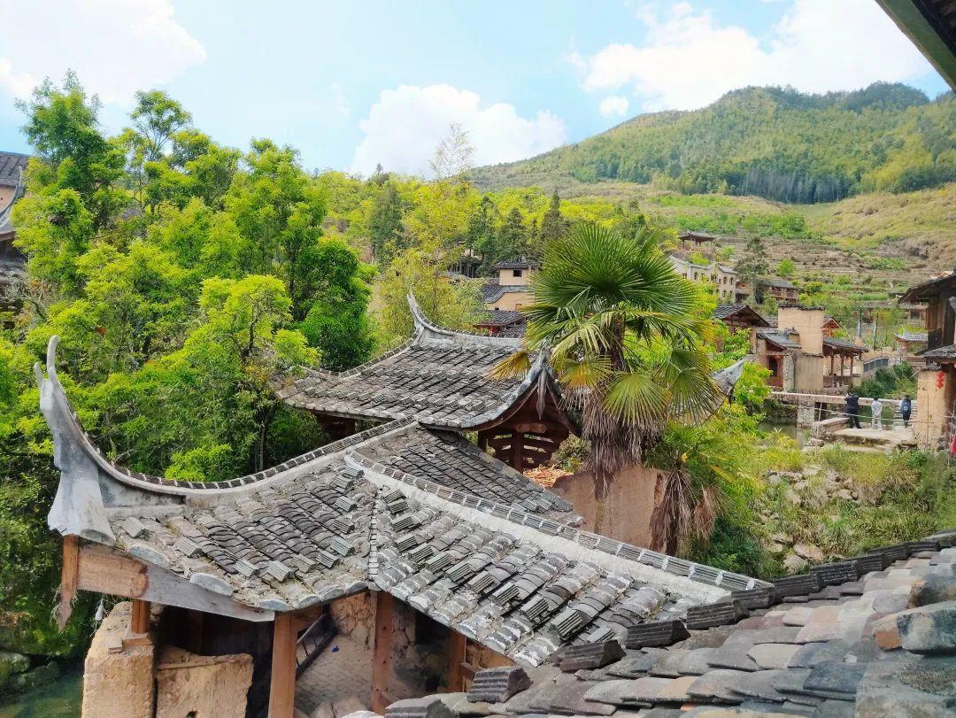 屏南蓬勃发展，最新小城动态更新报道