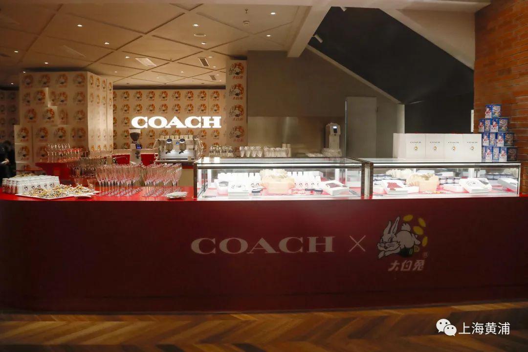 蔻驰最新女包,时尚与经典的极致融合