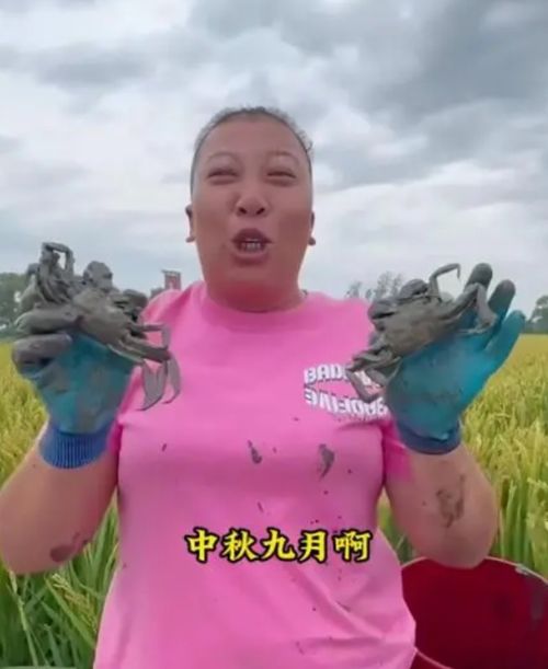 东北二嫂的最新日常分享