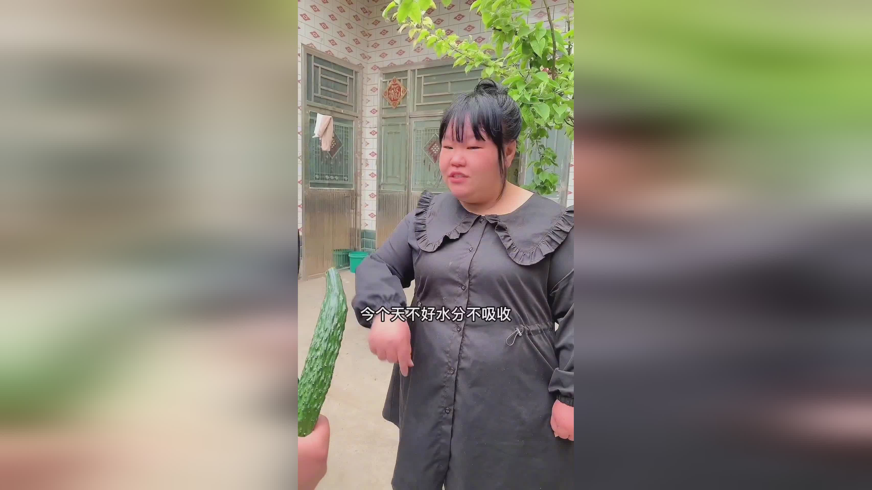 东北二嫂的最新日常分享