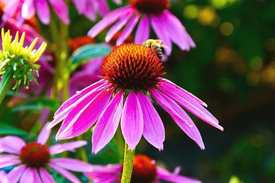 最新股价与心灵之旅，与自然美景的亲密接触，探寻内心的宁静平和