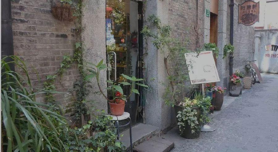 小巷深处的战争冒险,特色小店与未知之旅