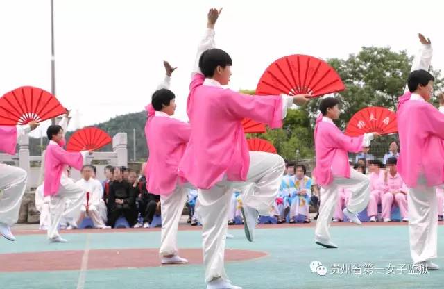 最新太极扇,舞动生活的温情纽带之美妙演绎