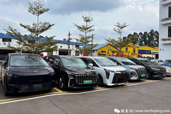 最新车评,全面解读某某车型观点