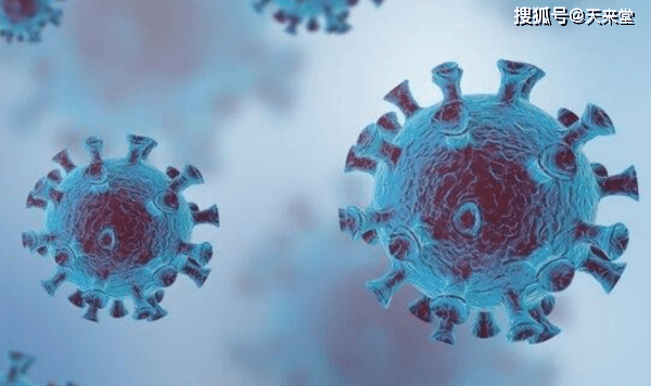 最新餐饮政策引领味蕾之旅,与自然美景共融,探寻内心平和宁静的食养之道