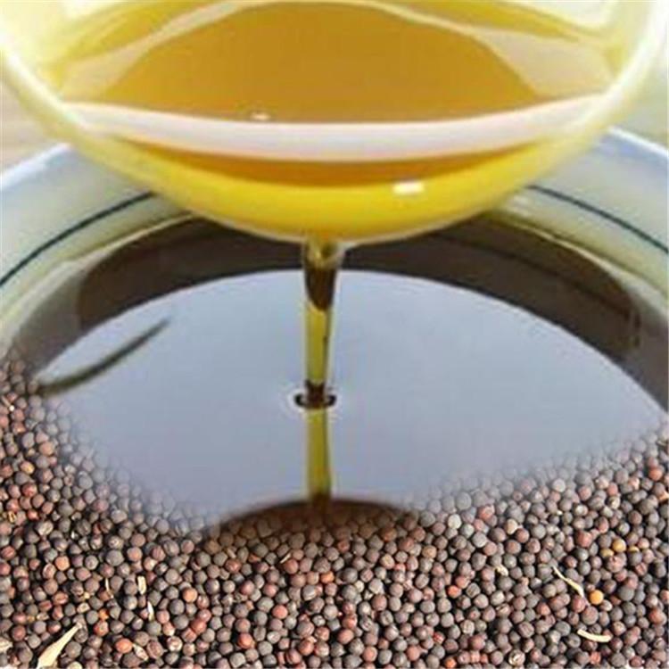 最新菜籽价格揭秘与行情分析🌱