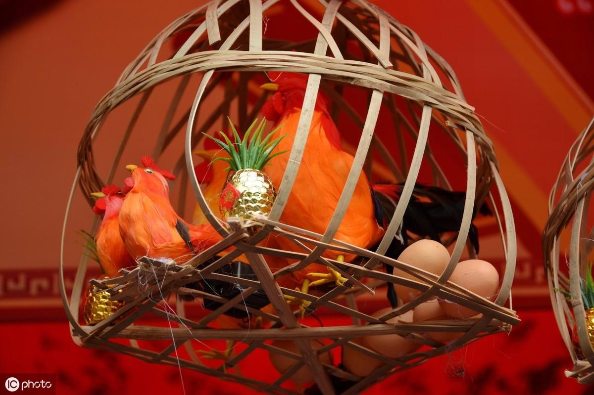 最新波罗车购买与使用指南全解析