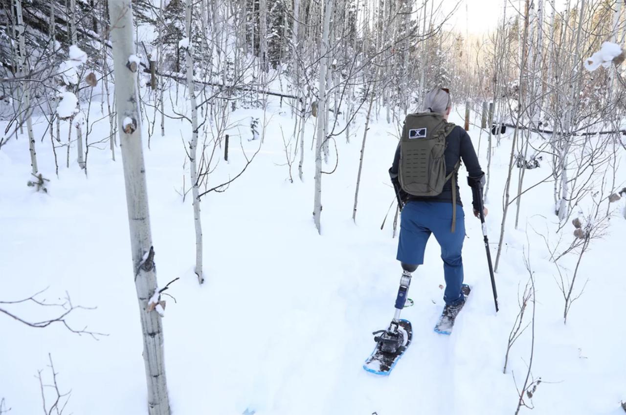 落户咨询 第342页