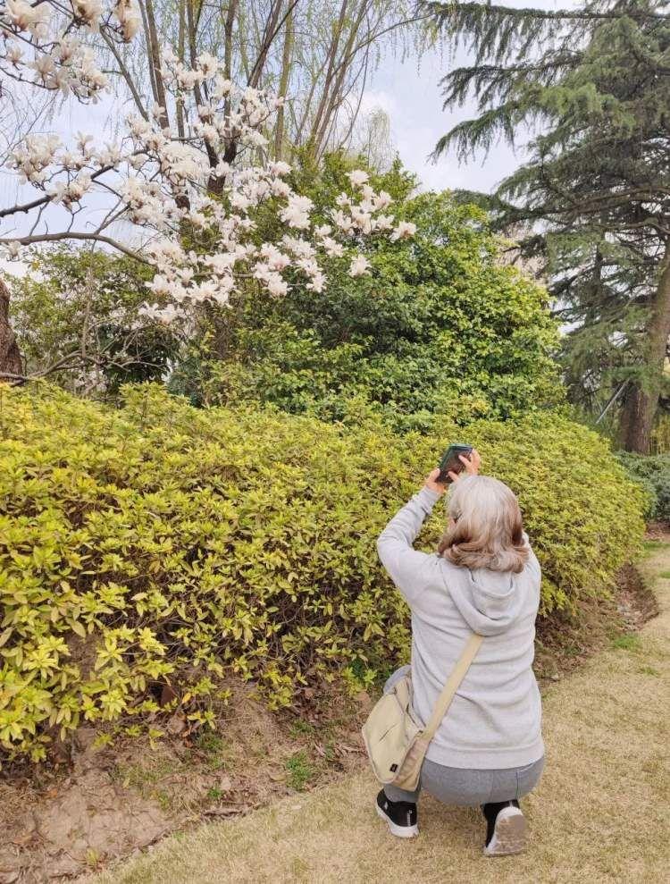 绿地最新楼盘,家的温馨与社交的绽放