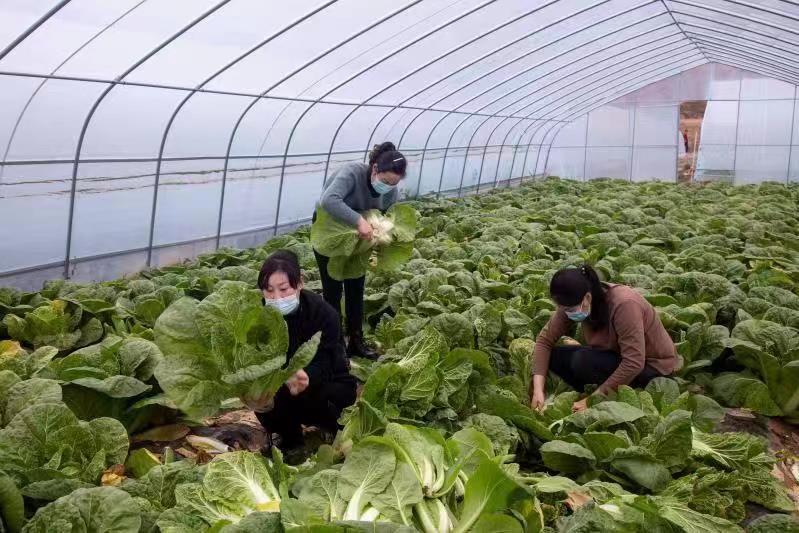 定西最新项目揭秘,打造未来科技新城重磅启动!✨