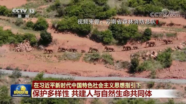 贡山最新新闻报道