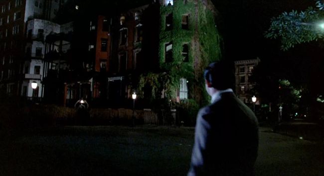 香港最新Cult电影探索之旅,自然美景中的内心平和寻找