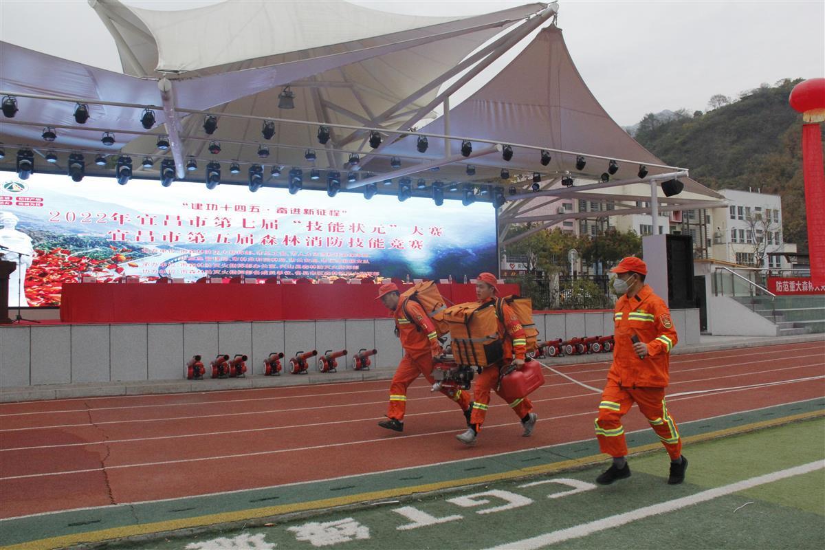 宜都最新新闻速递,掌握新闻获取与分析技能指南