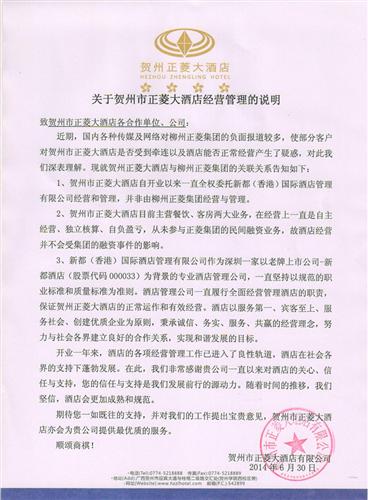 桂东电力最新公告详解,观点阐述与解析