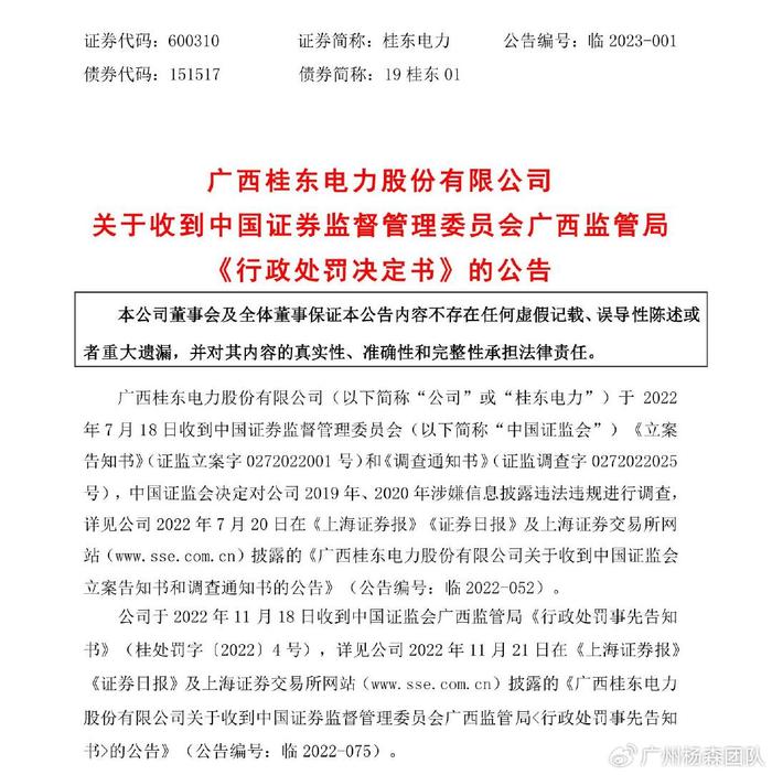 桂东电力最新公告详解,观点阐述与解析